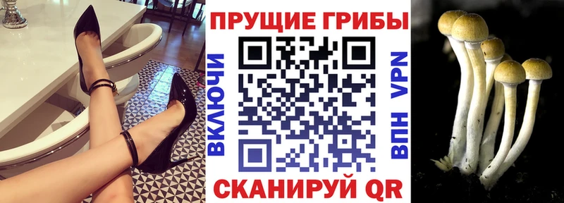 Галлюциногенные грибы прущие грибы магазин наркотиков Яранск